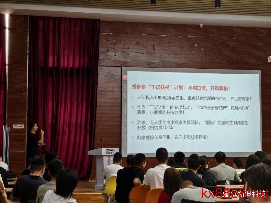 拼多多Q1财报,推崇平台企业社会担当,进入千亿护航商家穿越周期
